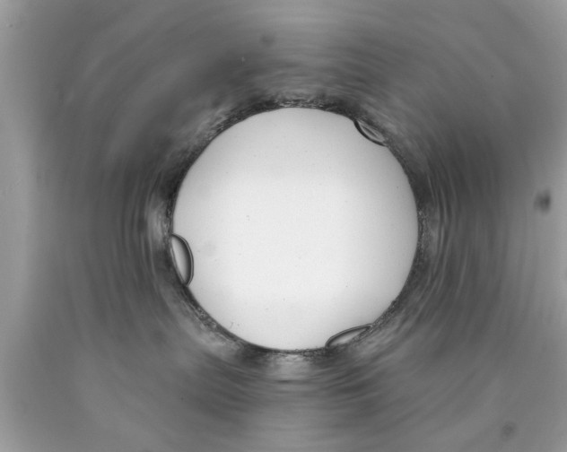 X0000089880287200707262216