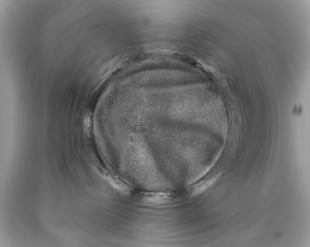 X0000089880288200707262216