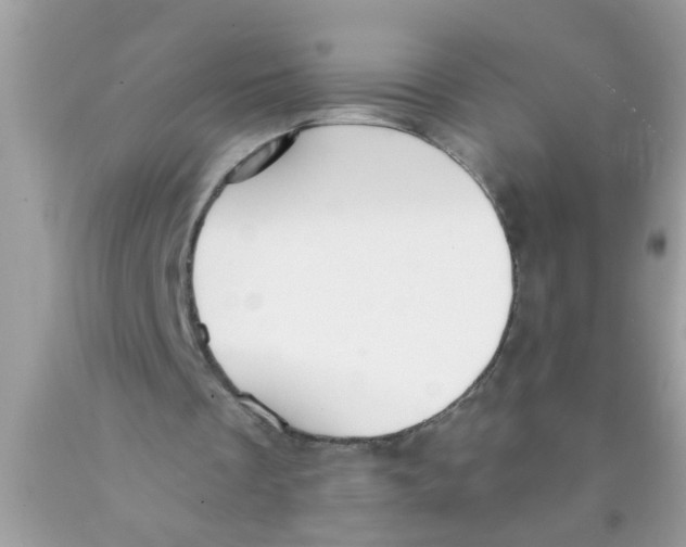 X0000089880289200707262215