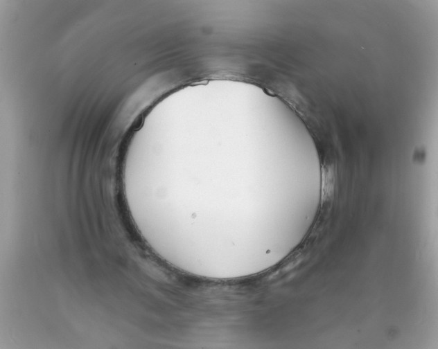 X0000089880291200707262215