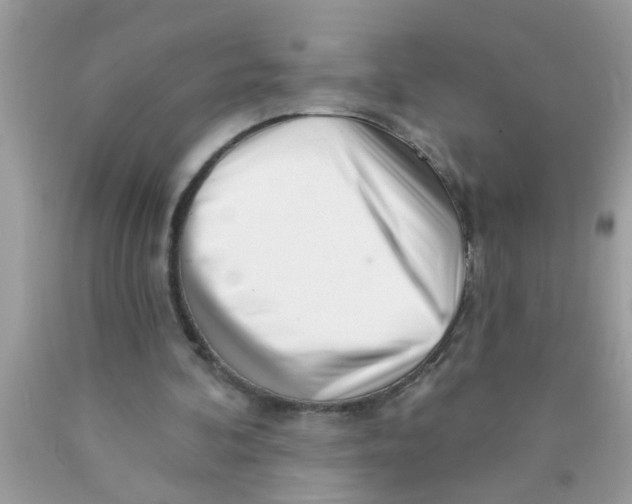 X0000089880292200707262215