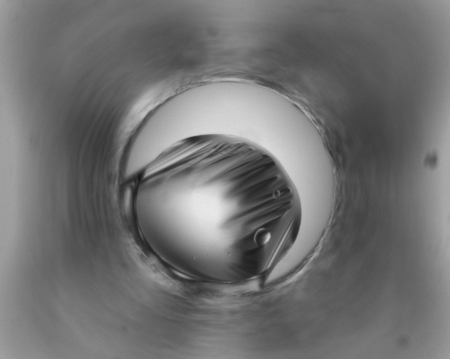 X0000089880293200707262215