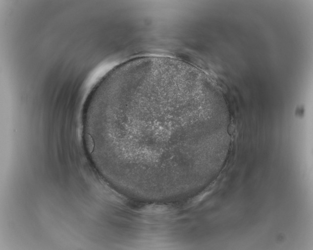 X0000089880294200707262215