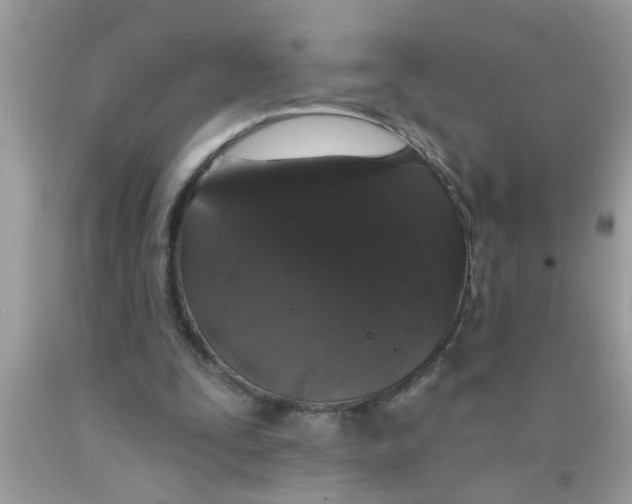 X0000089880295200707262215