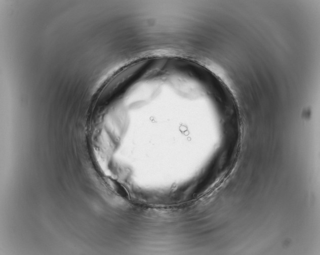 X0000089880297200707262215