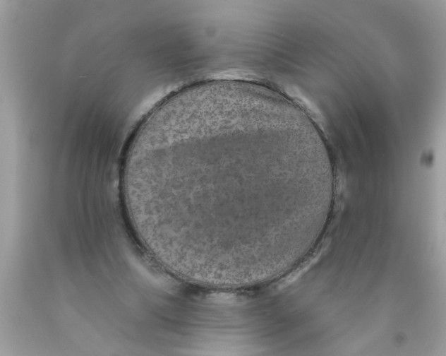 X0000089880298200707262215