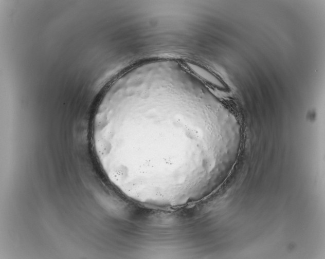 X0000089880299200707262215