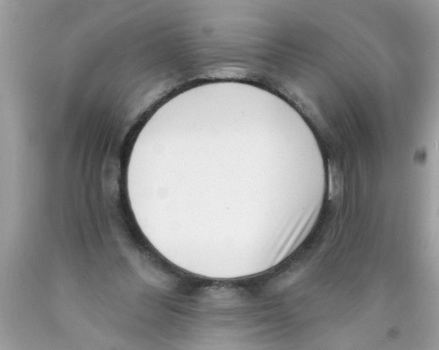 X0000089880300200707262215