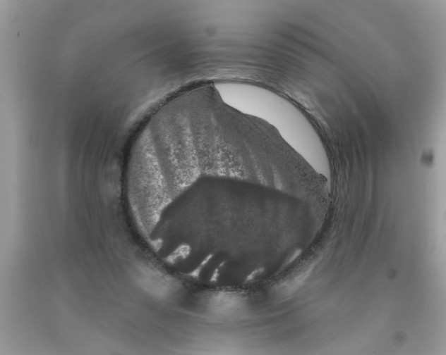 X0000089880303200707262215