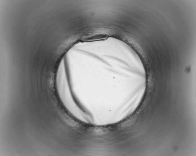 X0000089880305200707262215