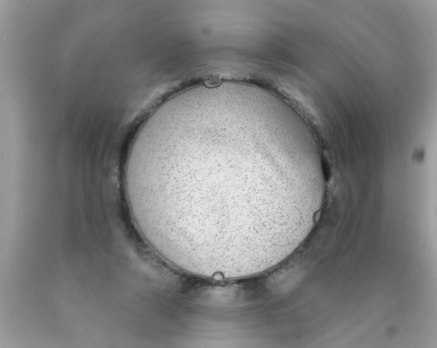 X0000089880306200707262215