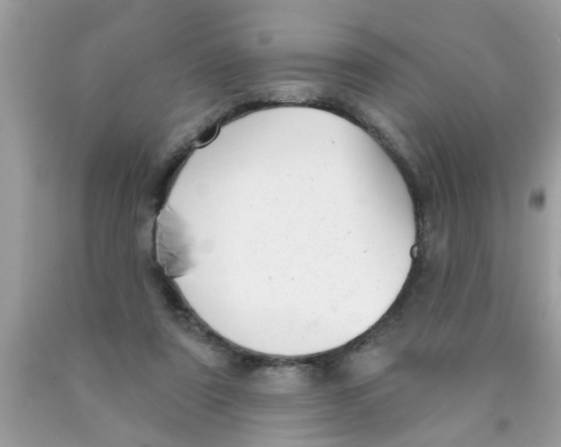 X0000089880307200707262215