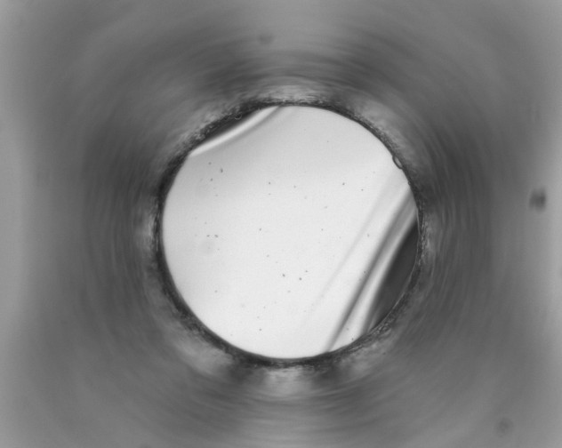 X0000089880309200707262215