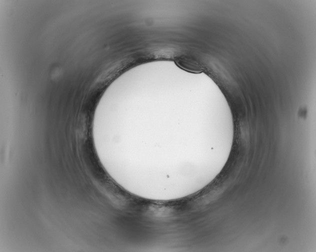 X0000089880311200707262215