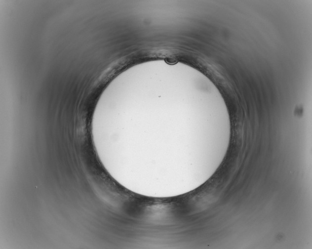 X0000089880312200707262215