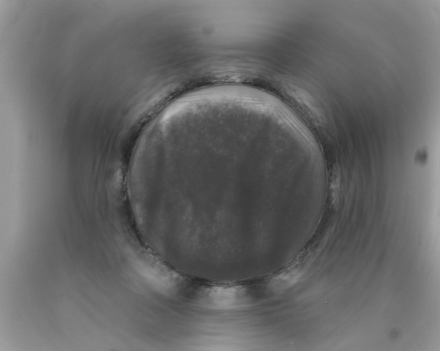 X0000089880314200707262215