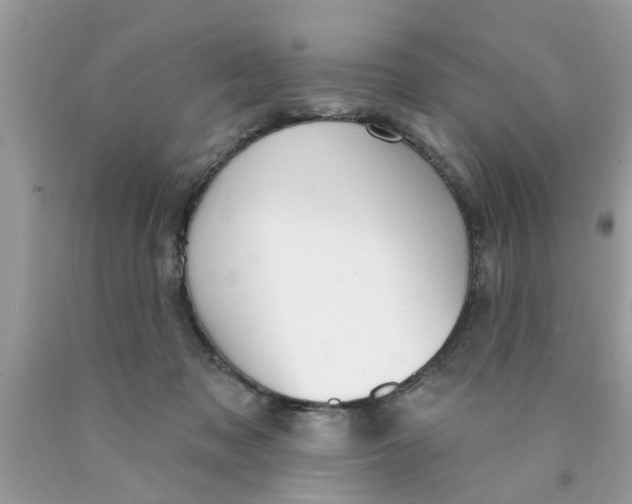 X0000089880317200707262215