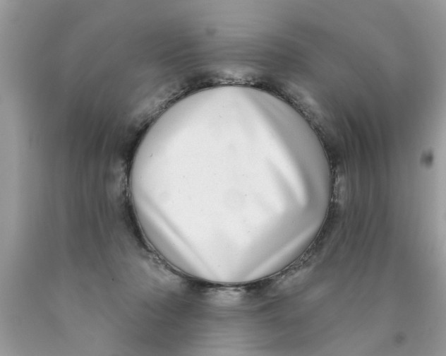 X0000089880318200707262215