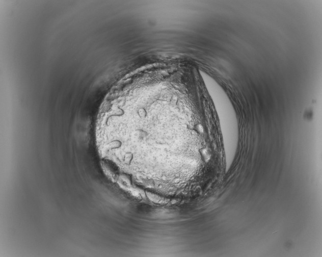 X0000089880319200707262215