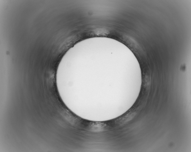 X0000089880321200707262215