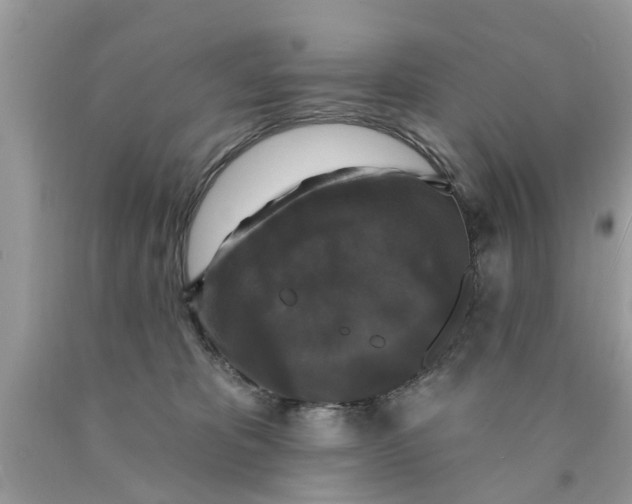 X0000089880325200707262215