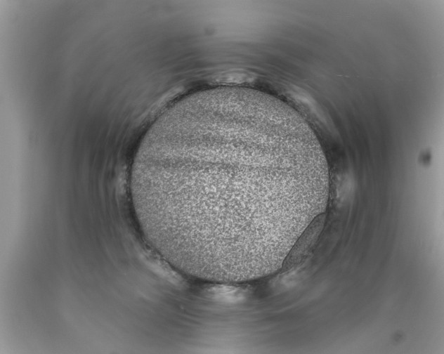 X0000089880326200707262214