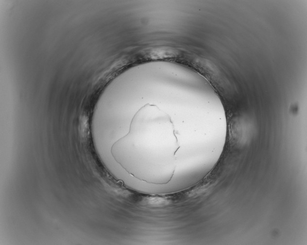 X0000089880327200707262214