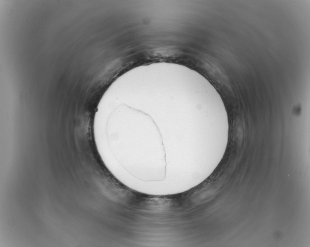 X0000089880328200707262214