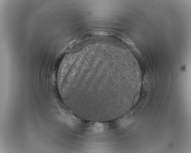 X0000089880330200707262214