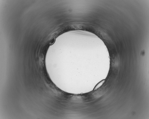 X0000089880332200707262214