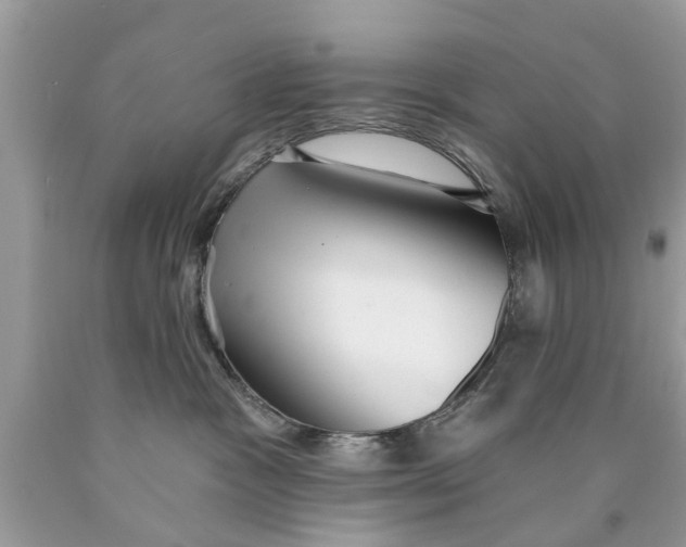 X0000089880333200707262214