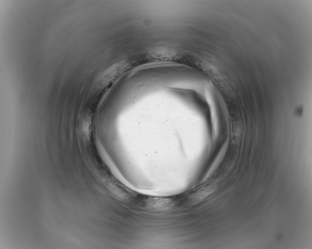 X0000089880334200707262214