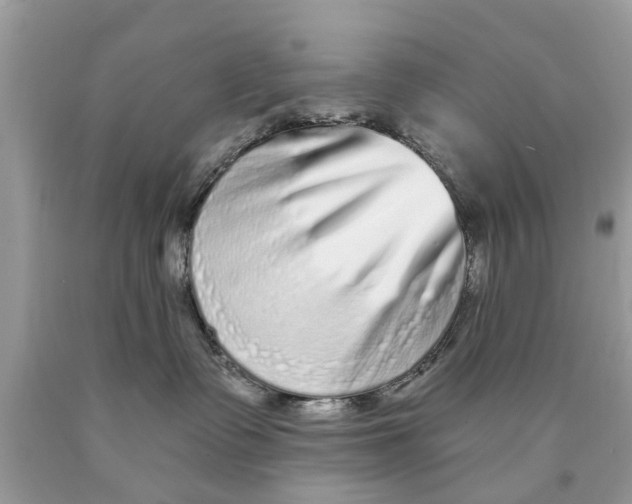 X0000089880335200707262214