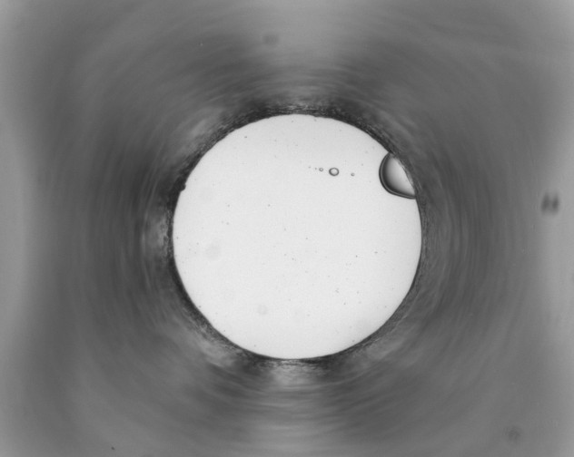 X0000089880336200707262214