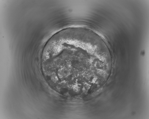 X0000089880337200707262214