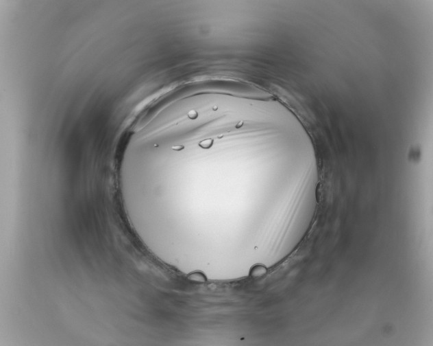 X0000089880338200707262214