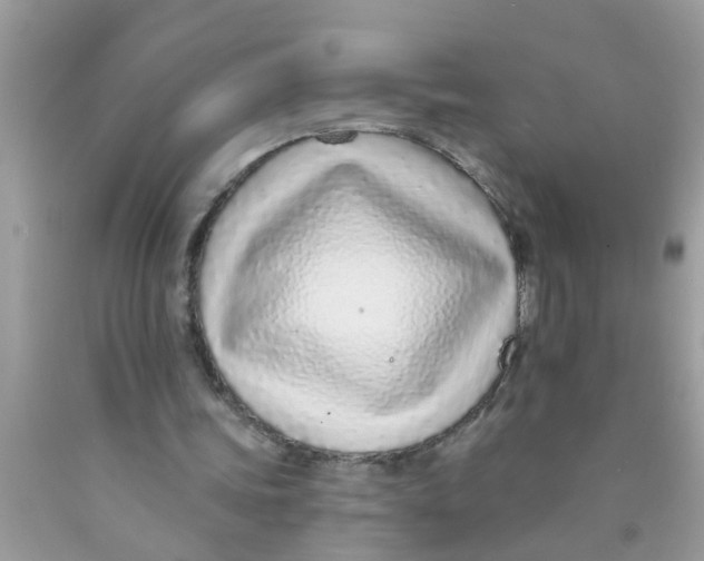 X0000089880339200707262214