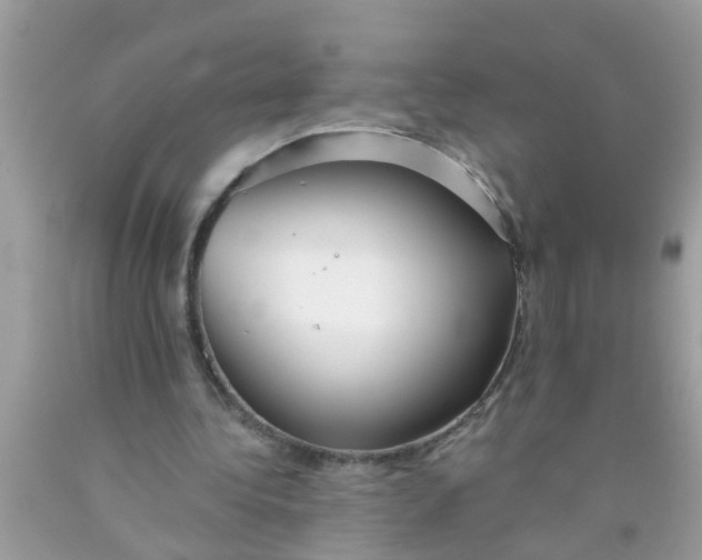 X0000089880340200707262214