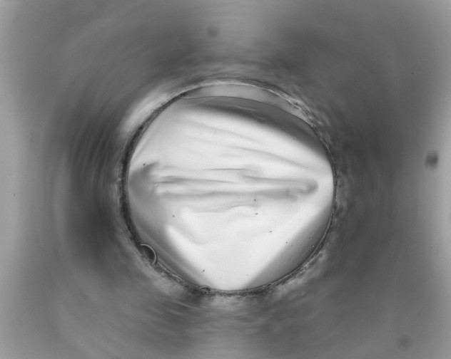 X0000089880341200707262214