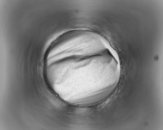 X0000089880342200707262214