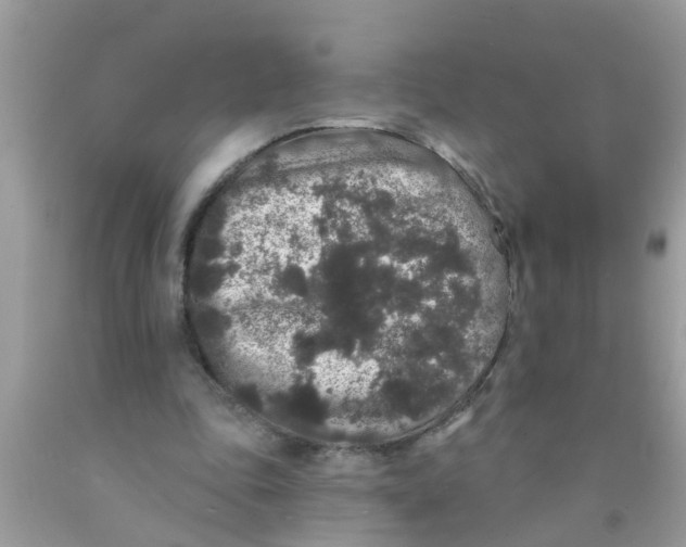 X0000089880343200707262214