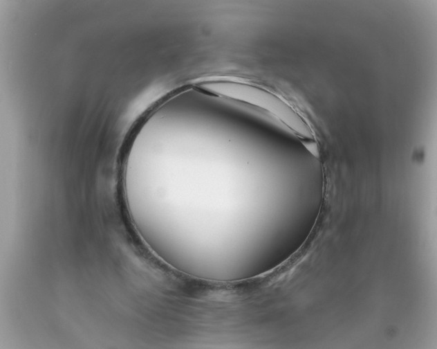 X0000089880344200707262214