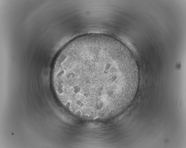 X0000089880346200707262214