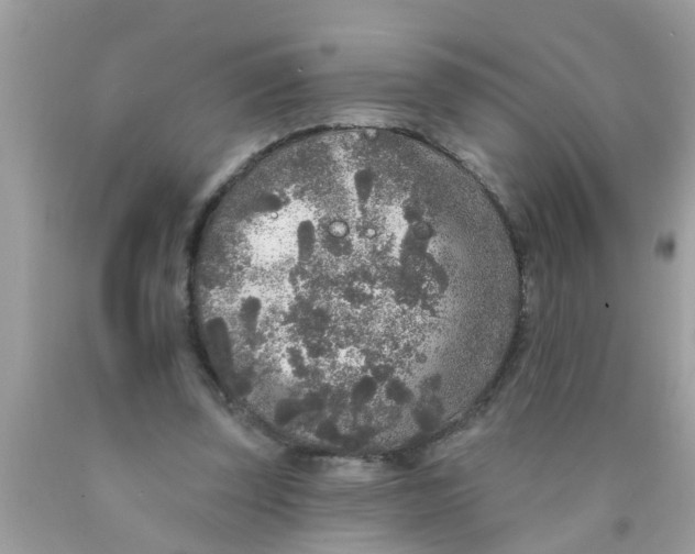 X0000089880347200707262214