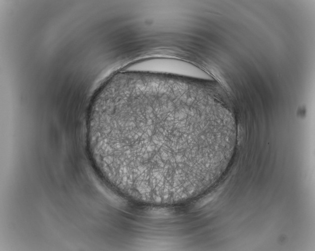 X0000089880349200707262214