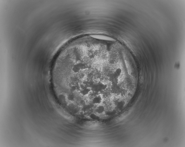 X0000089880351200707262214