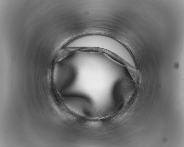 X0000089880352200707262214