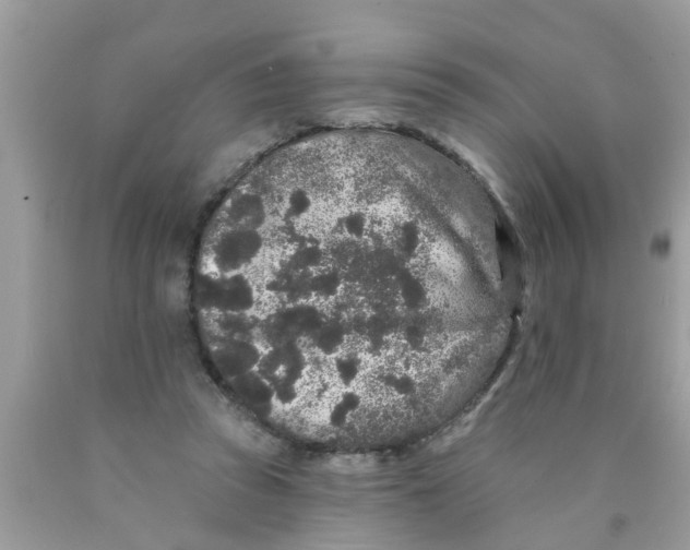 X0000089880353200707262214