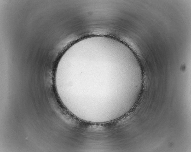 X0000089880354200707262214