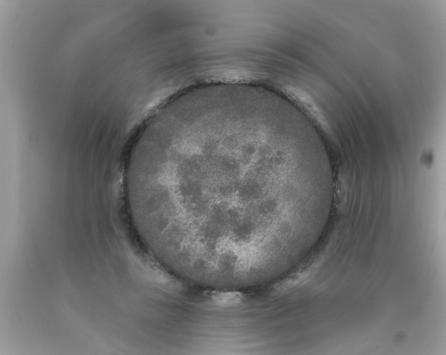 X0000089880355200707262214